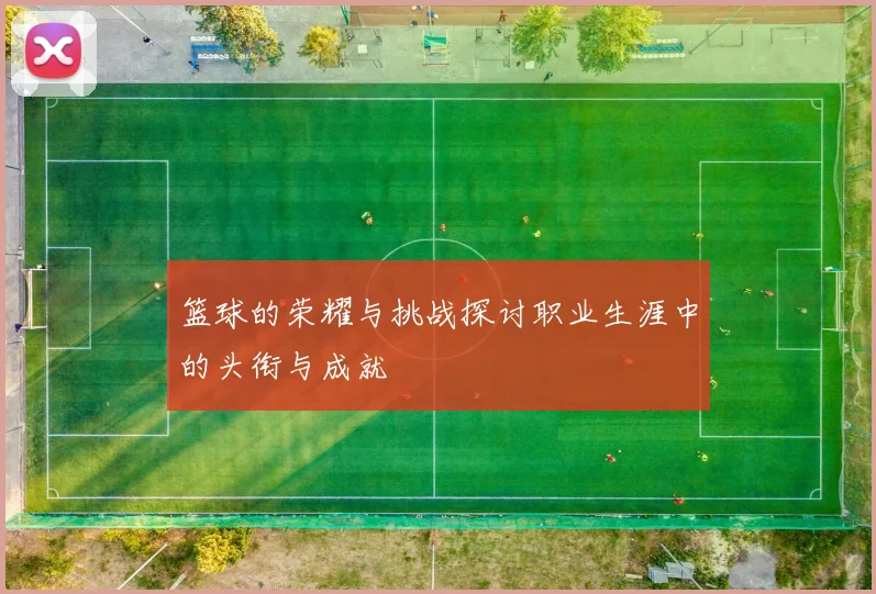 篮球的荣耀与挑战探讨职业生涯中的头衔与成就