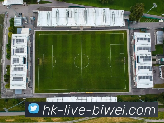 biwei sport官方平台生态图